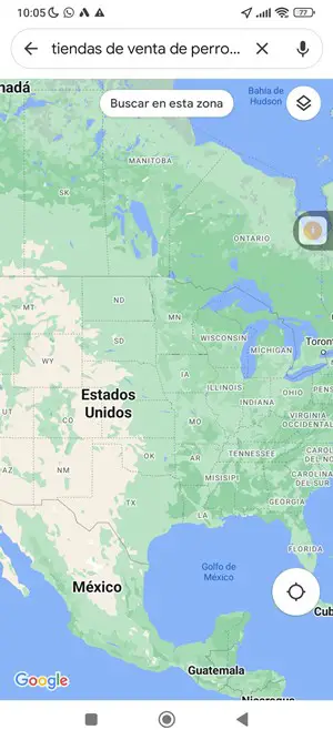 Buscar tiendas de venta de perros en Estados Unidos con Google Maps