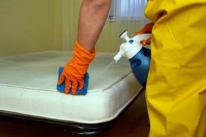 13 Trucos Caseros Para Desinfectar y Limpiar un Colchón