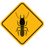 Plaga de termitas compañia de fumigación